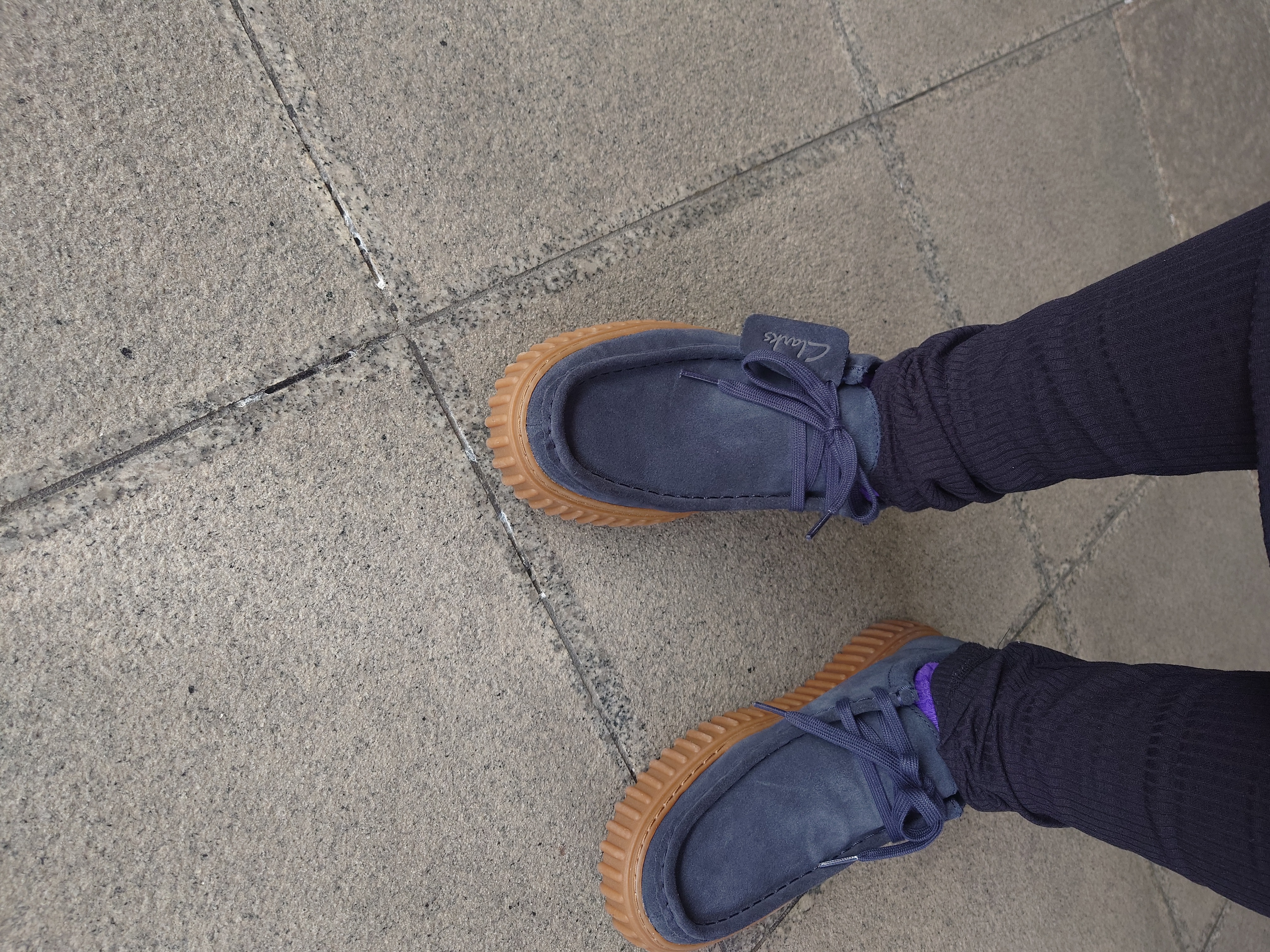 Clarks Torhill Lo / トーヒルロー （ネイビースエード