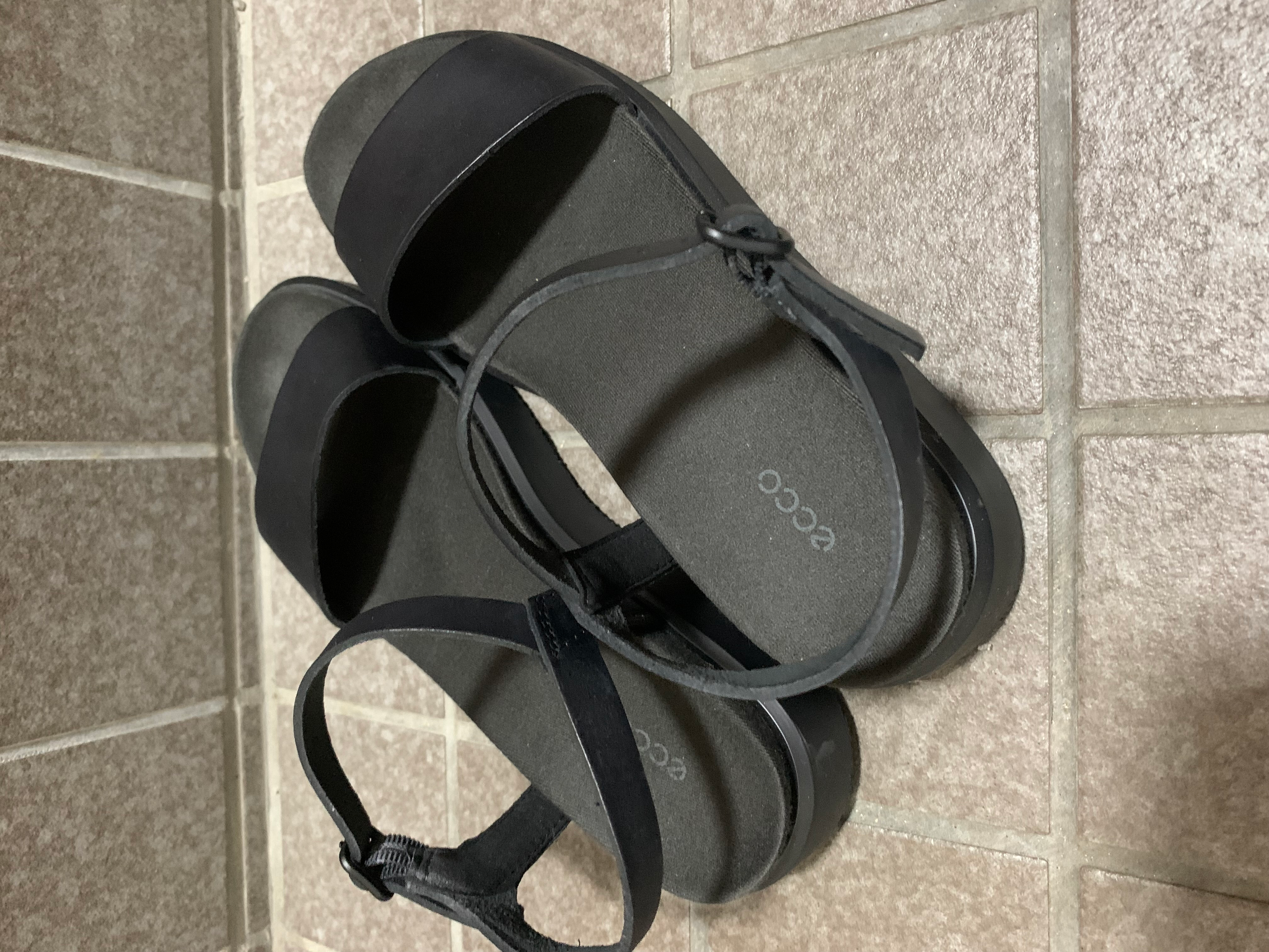 エコー ECCO ECCO フロート 本革 レディース フラット