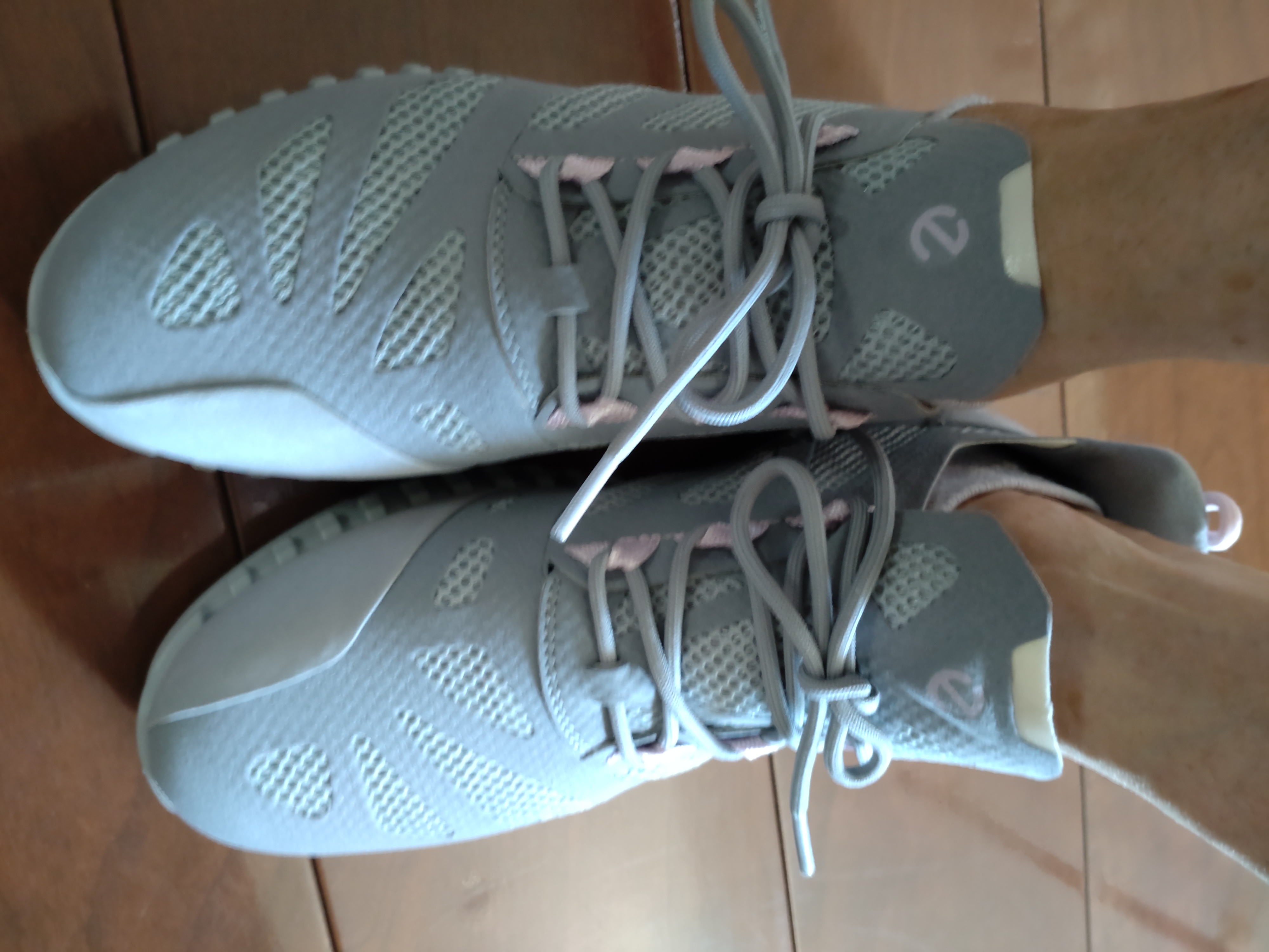 エコー ECCO ジップフレックス W （ライムストーン/ライム