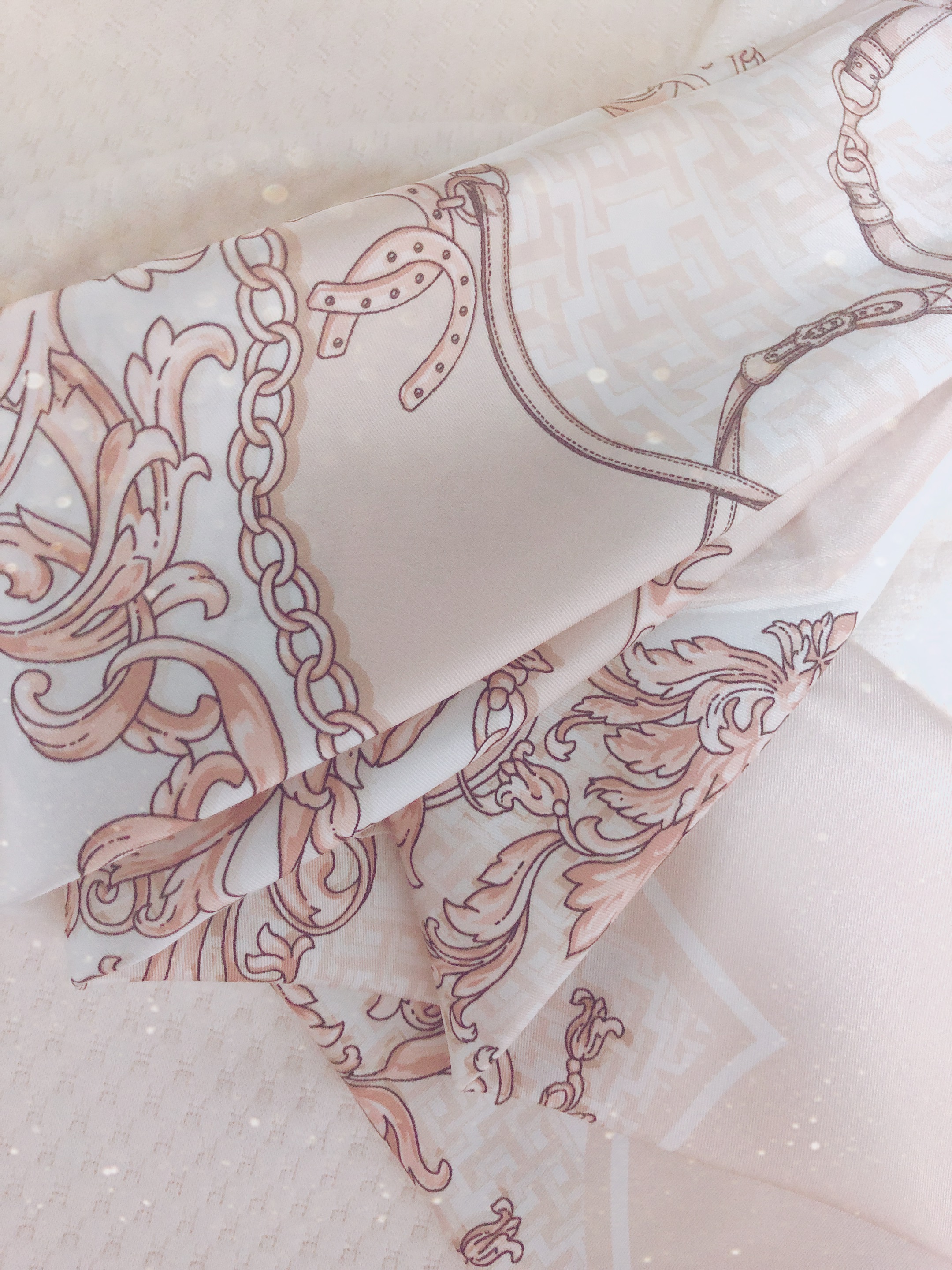 エイミーイストワール eimy istoire Limited ES patternスカーフ （BROWN）