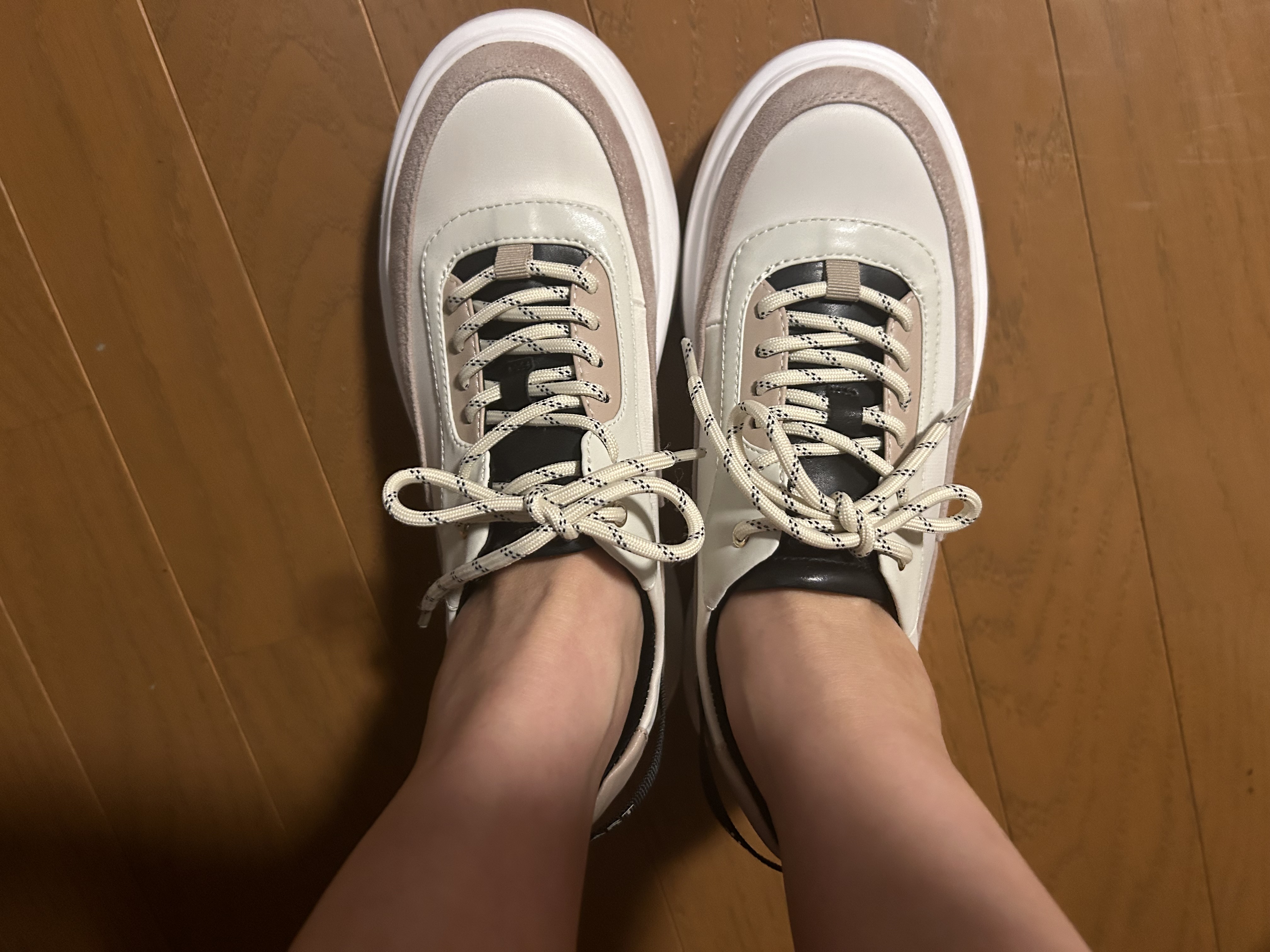 ジルスチュアート シュー JILLSTUART shoe 厚底レースアップ