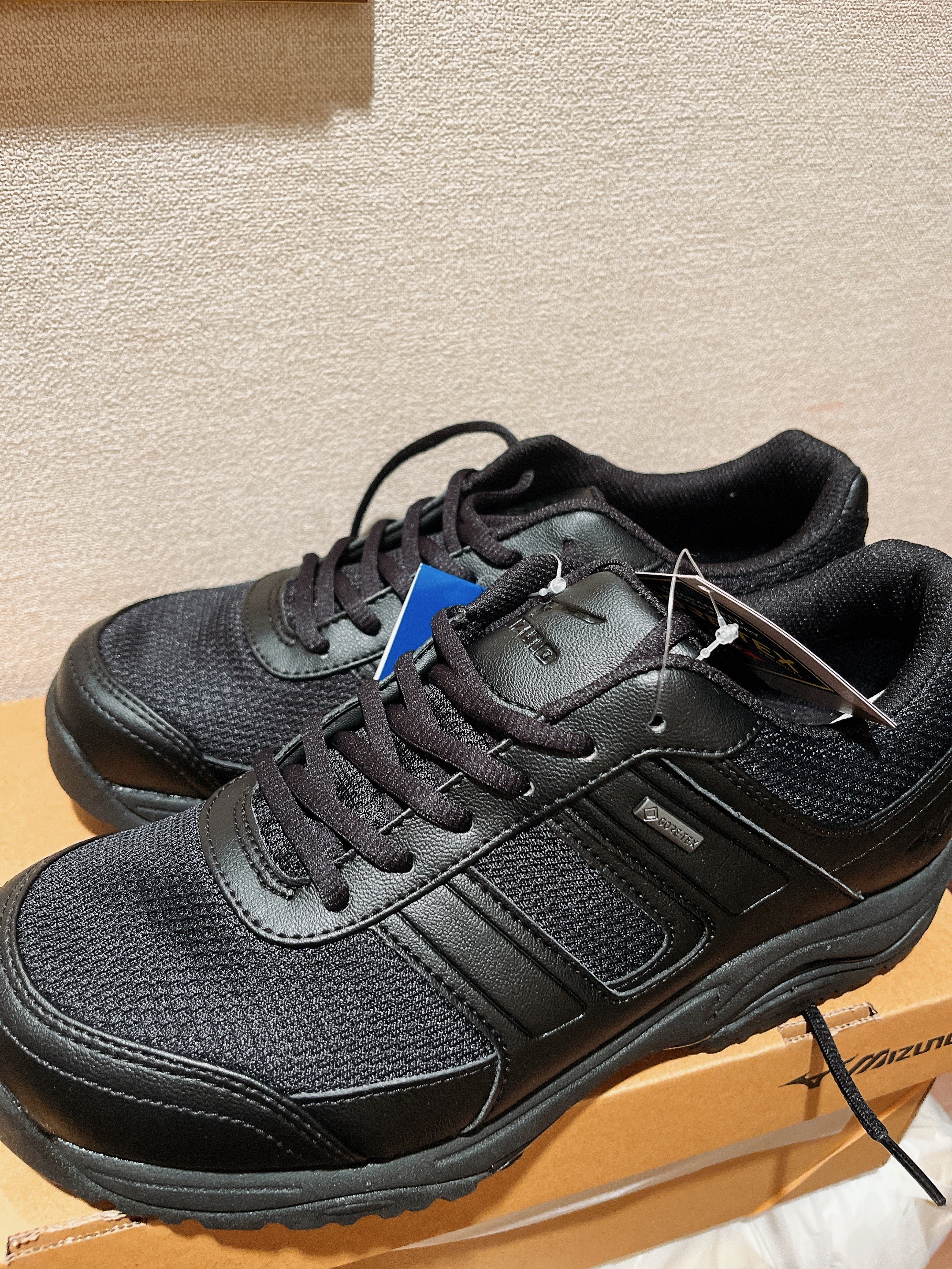 ミズノ MIZUNO ウォーキングシューズ OD100GTX 7 B1GA170009