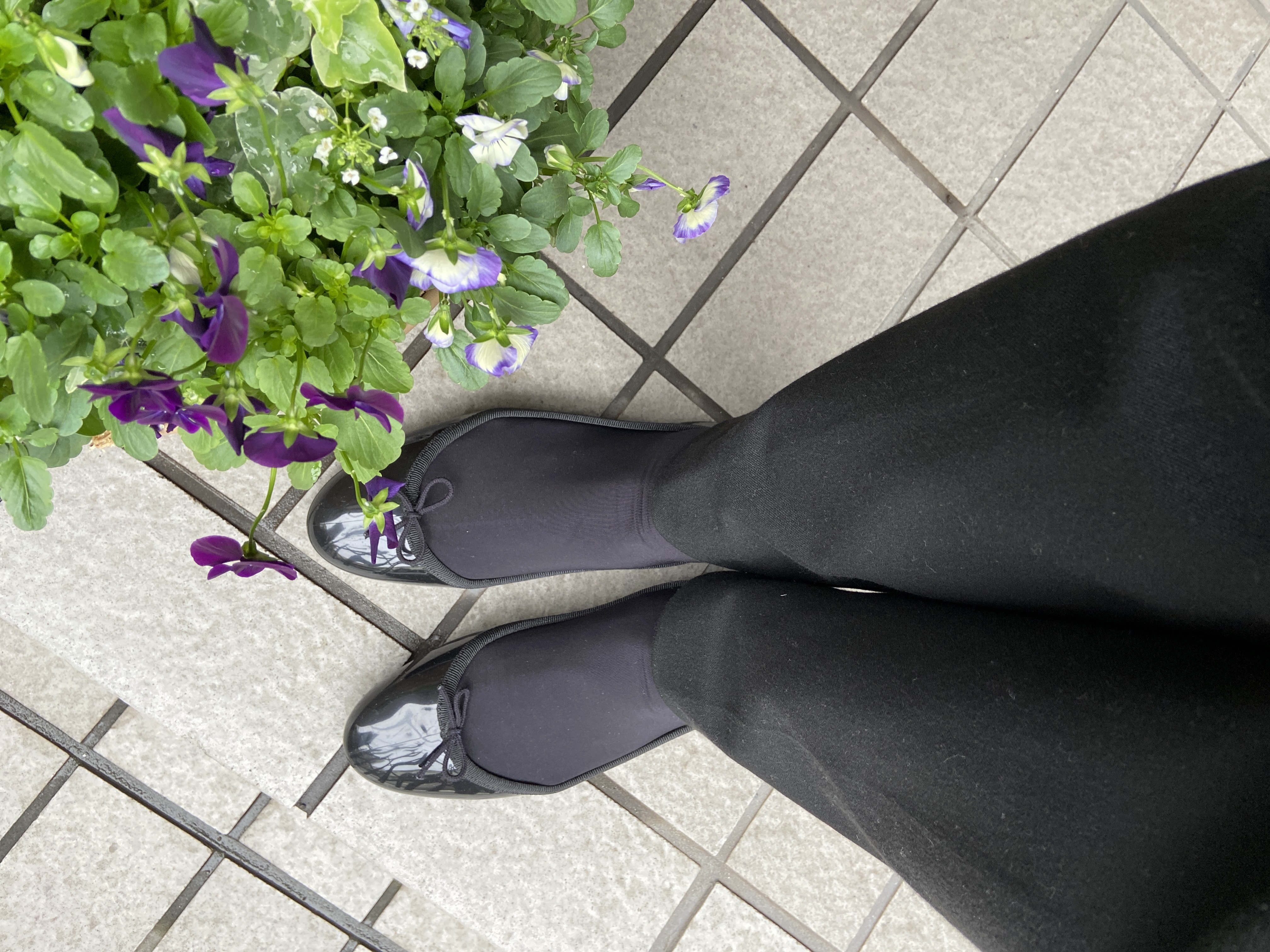 Repetto 〇レペット repetto CENDRILLON Baby （ブラック） -靴