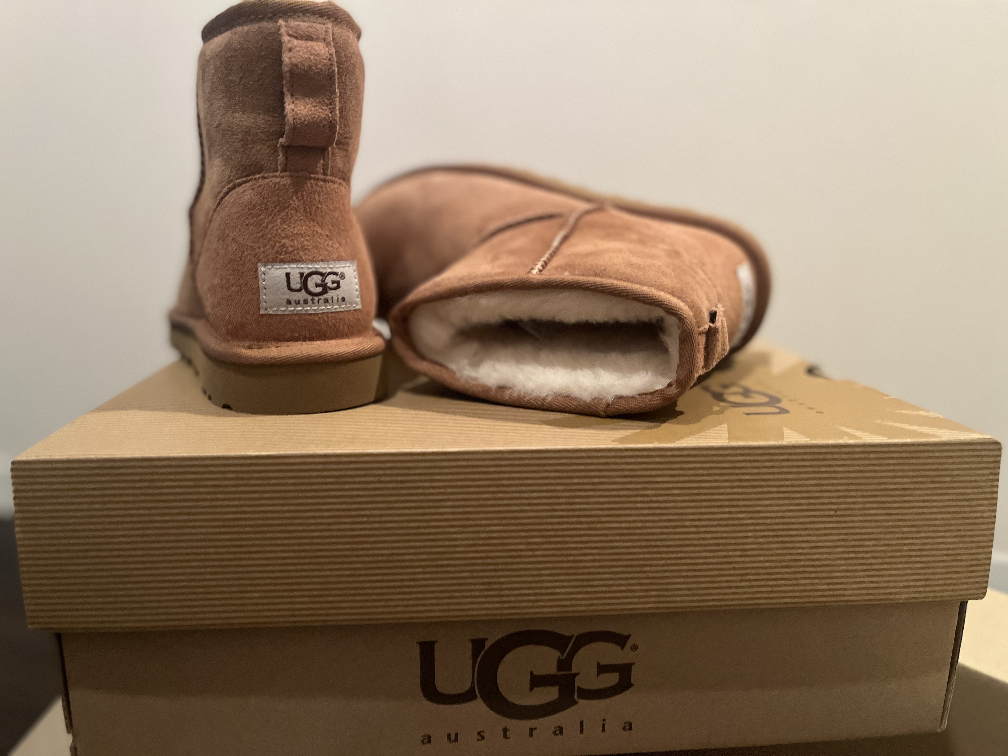 アグ UGG Classic Mini（チェスナット） -アウトレット通販 ロコレット