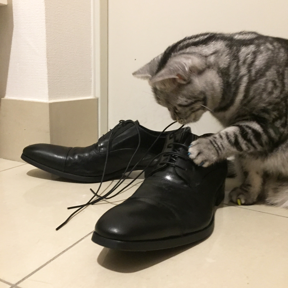 whoop'-de-doo' 栃木レザー ストレートチップ ビジネスシューズ