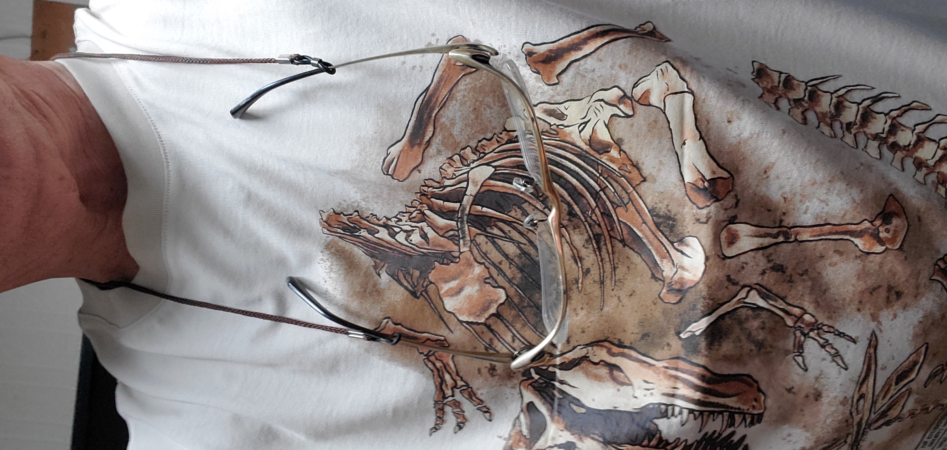 【 貴重 】リバプール Reebok シャツ ジュラシック ワールド フォッシル Tシャツ / Jurassic World